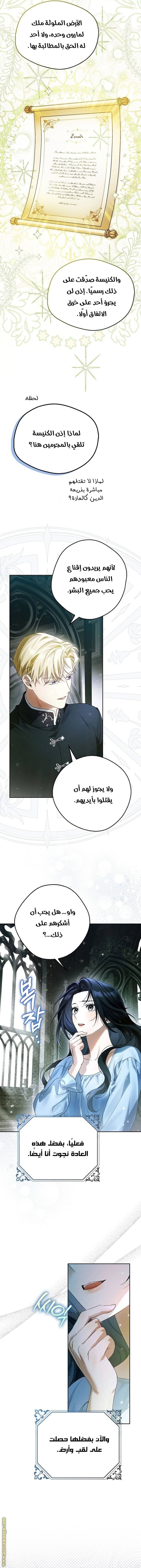 الصفحة 16