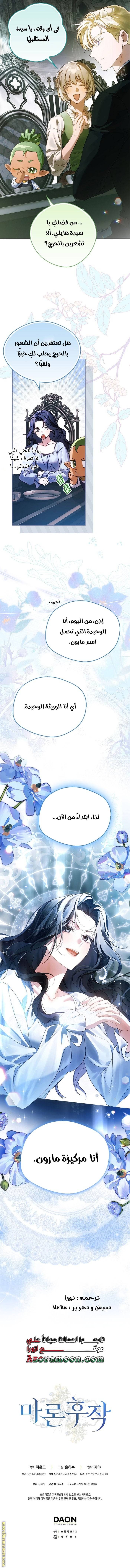 الصفحة 19