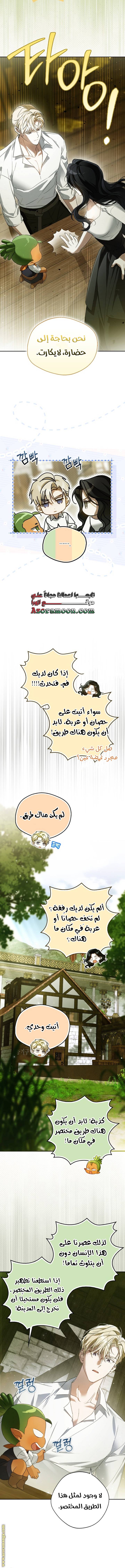 الصفحة 13
