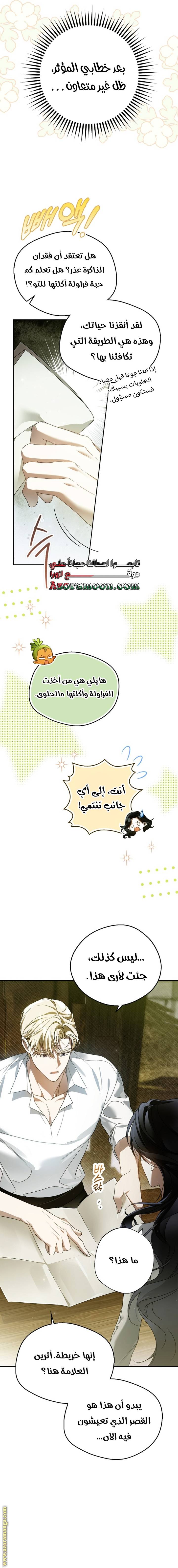 الصفحة 14