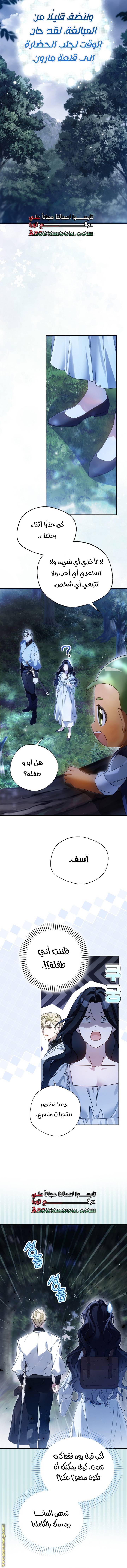 الصفحة 17