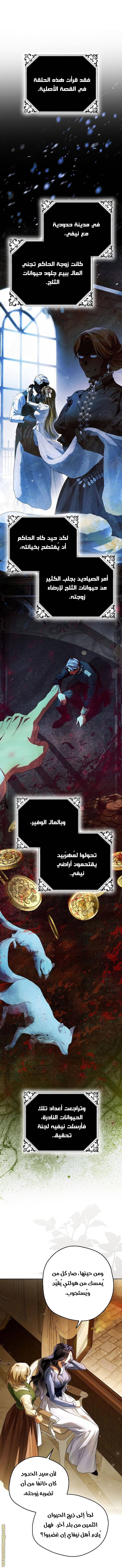 الصفحة 13