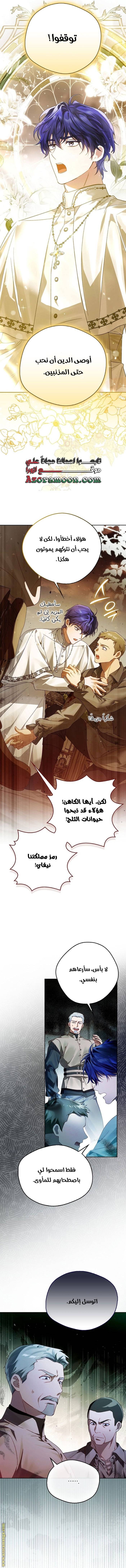 الصفحة 15