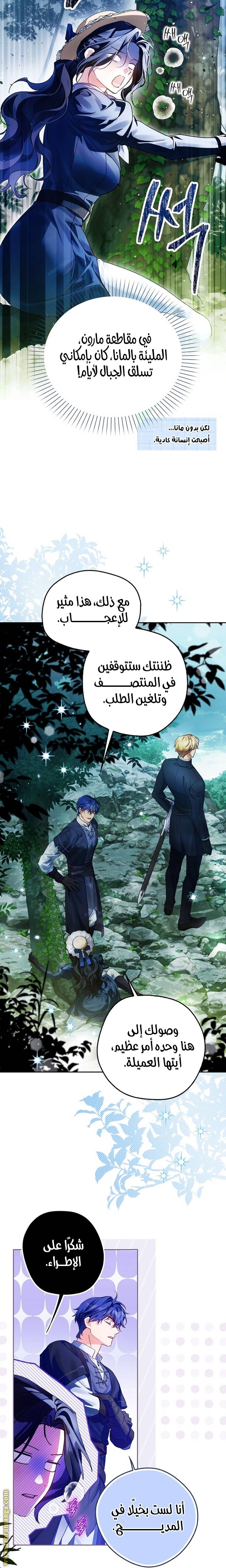 الصفحة 19