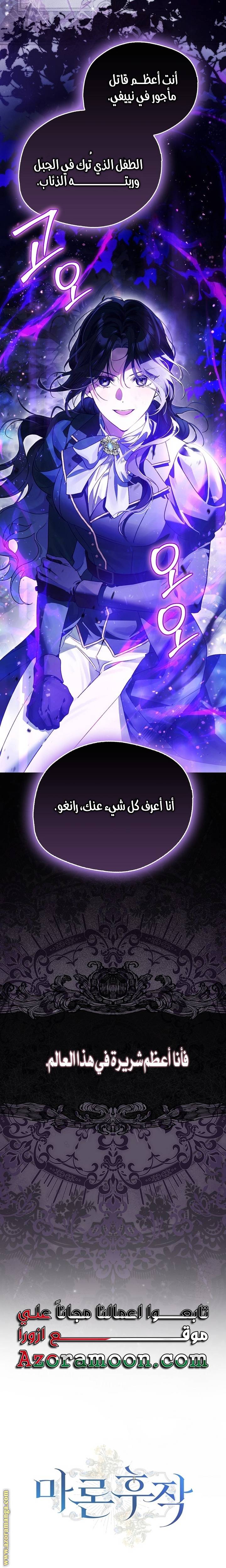 الصفحة 29