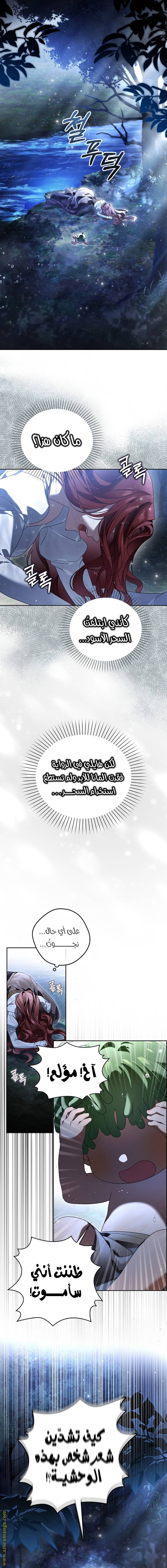 الصفحة 19