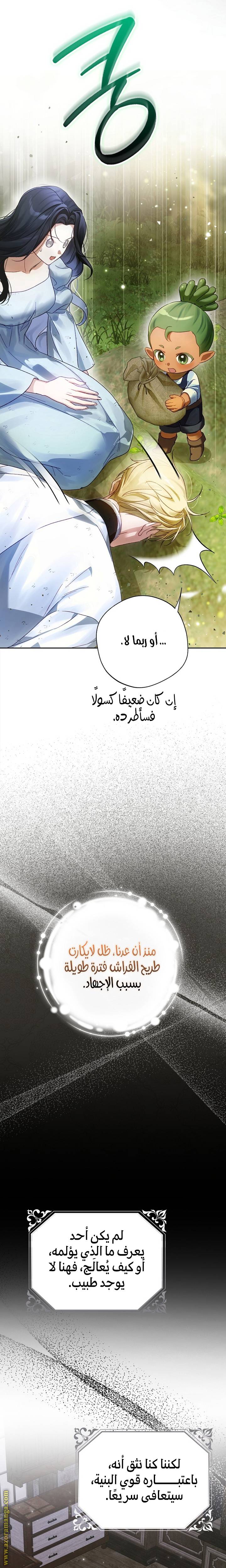 الصفحة 11