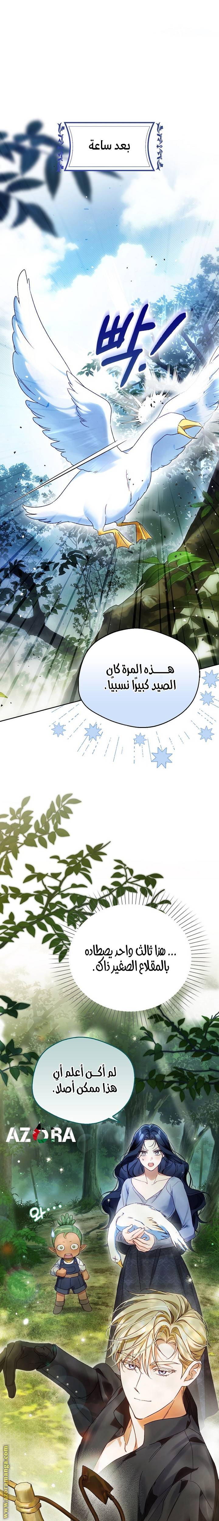 الصفحة 17
