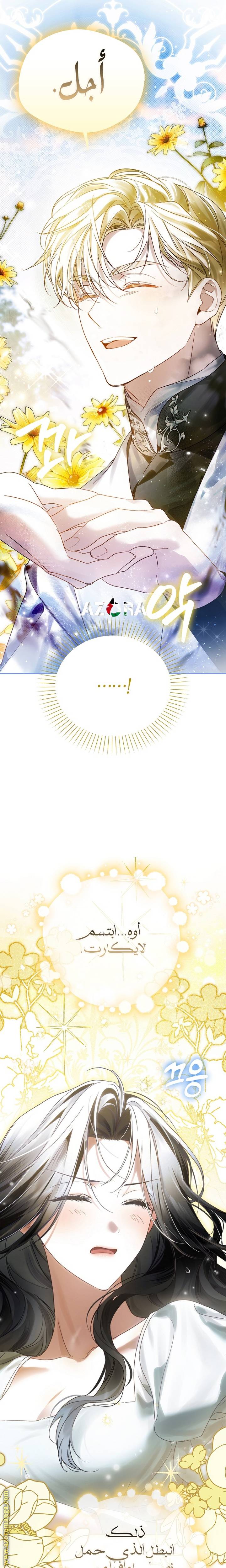 الصفحة 29