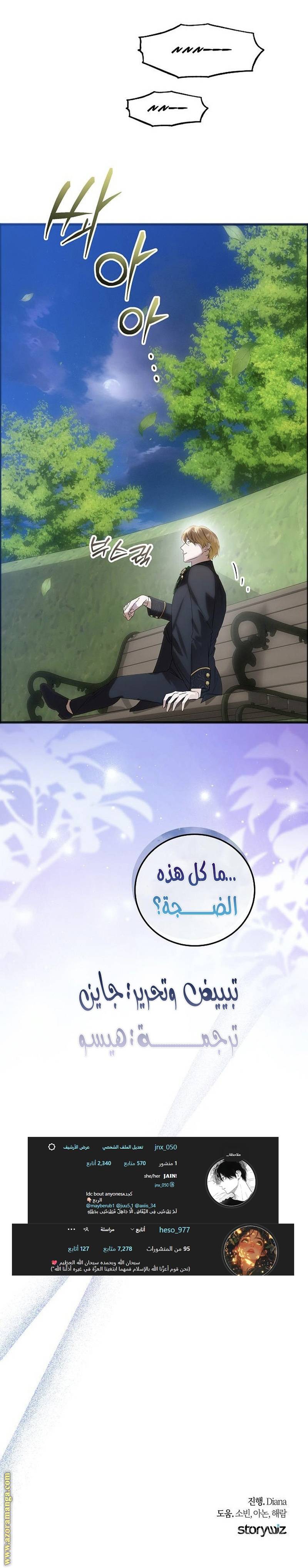 الصفحة 13