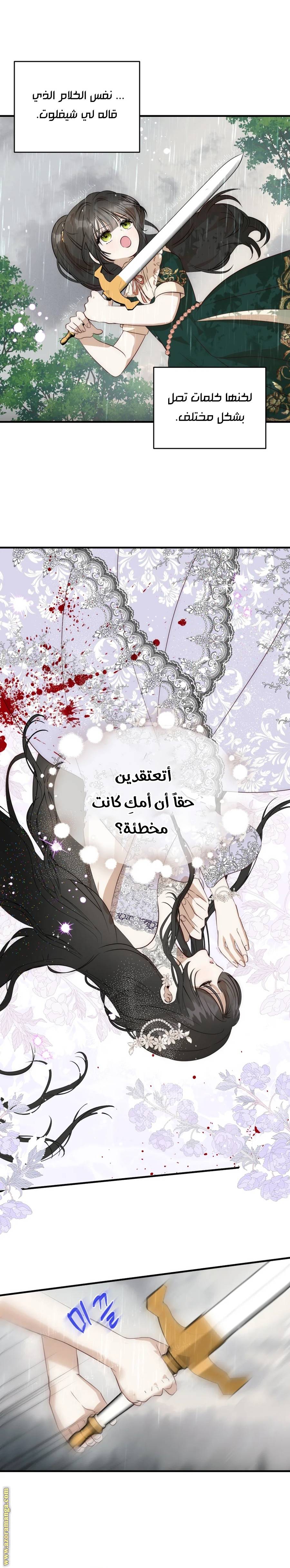 الصفحة 26