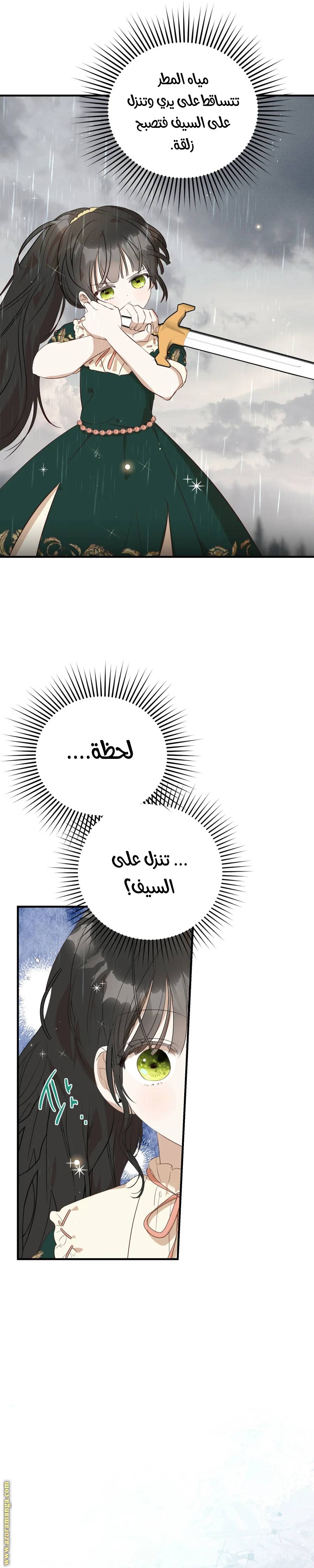 الصفحة 28