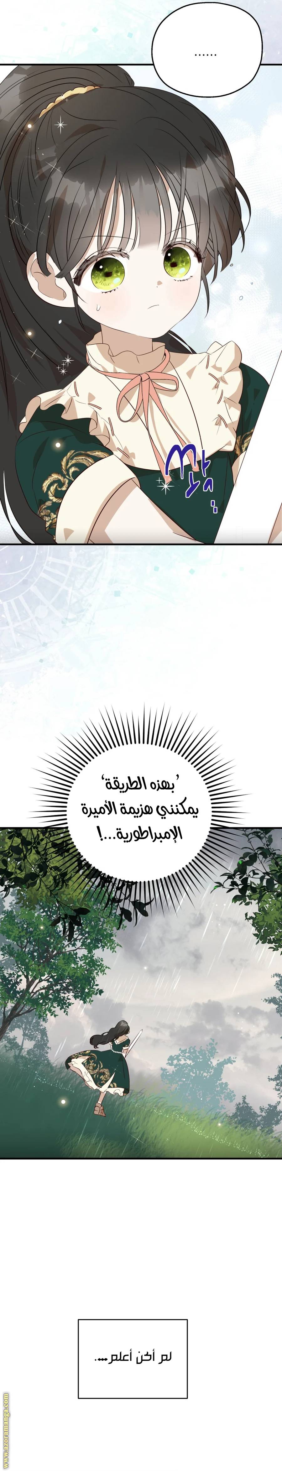 الصفحة 29