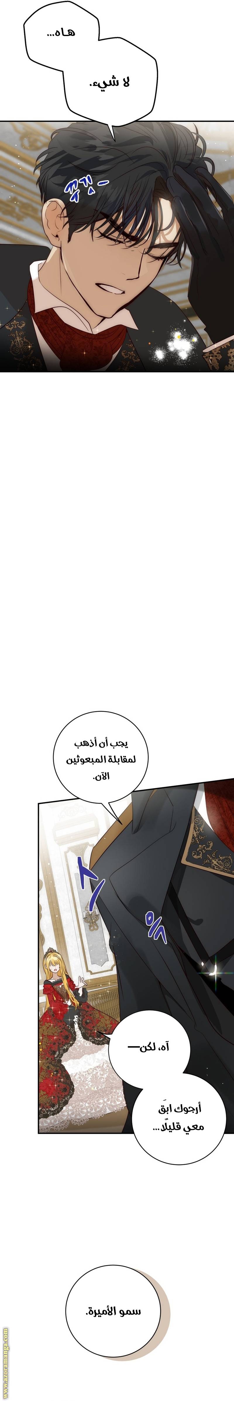 الصفحة 17