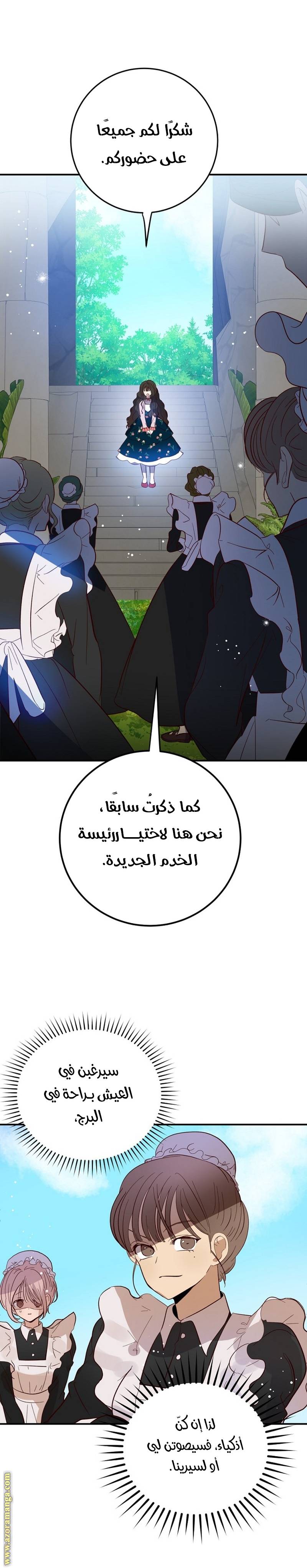 الصفحة 29