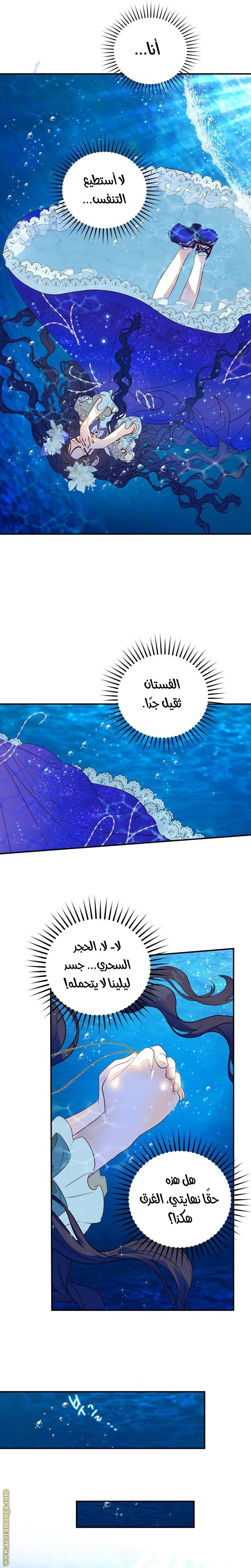 الصفحة 25