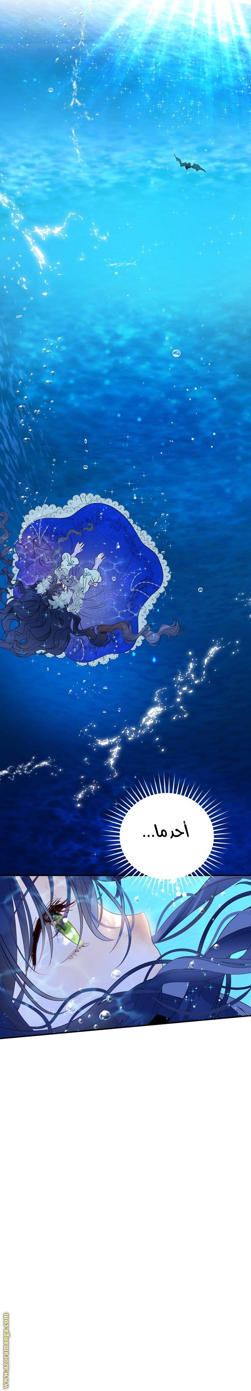 الصفحة 26