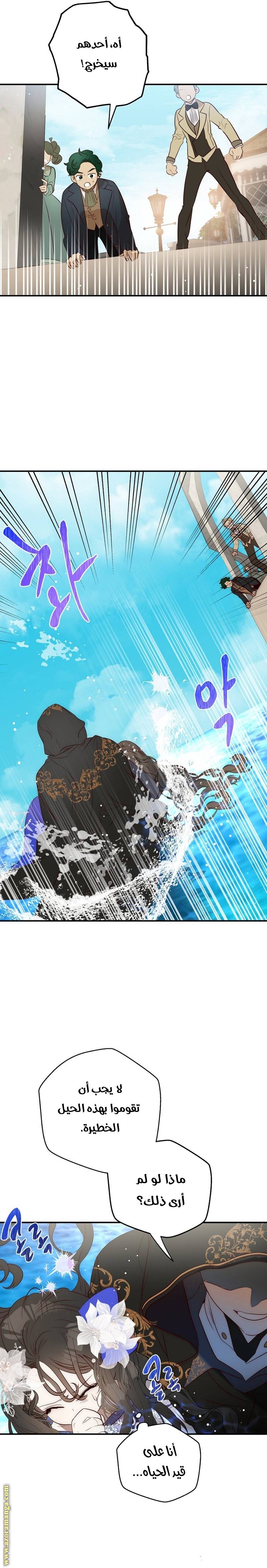 الصفحة 27