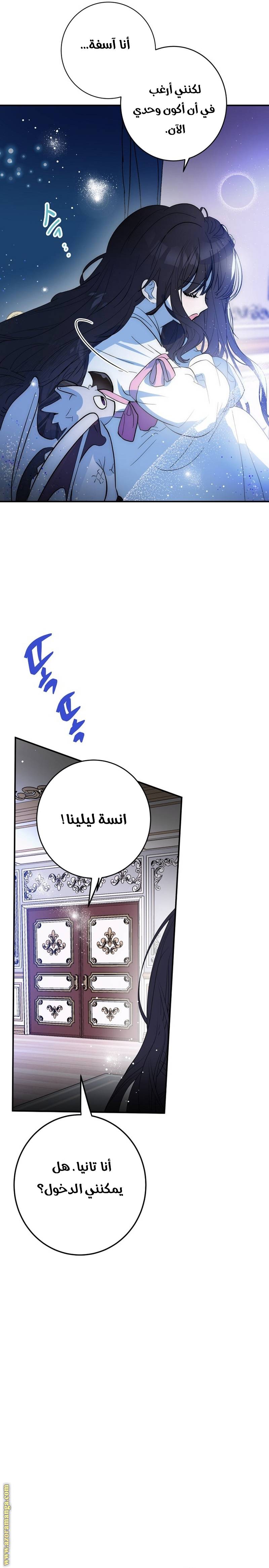 الصفحة 24