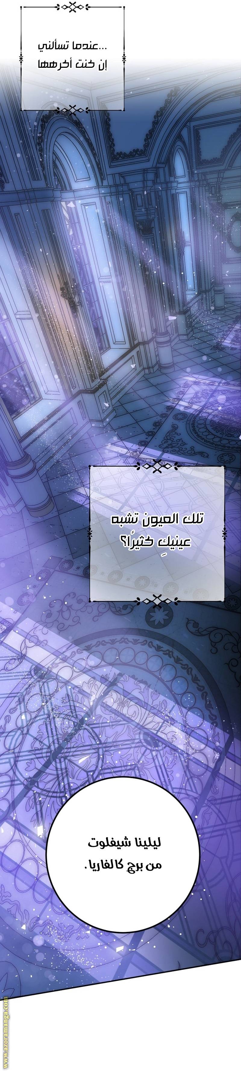 الصفحة 28