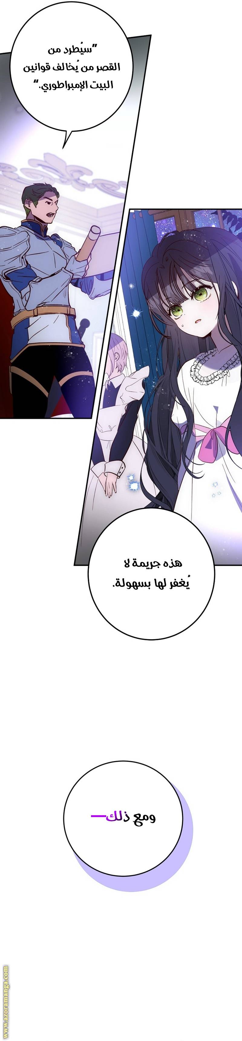 الصفحة 29