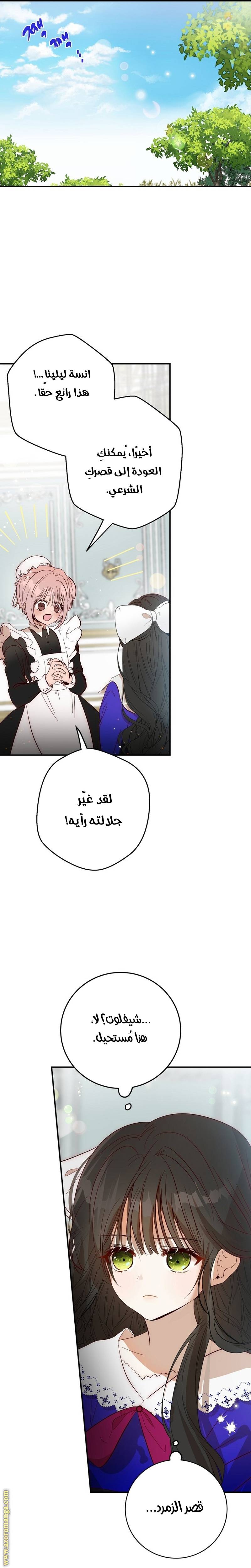 الصفحة 31