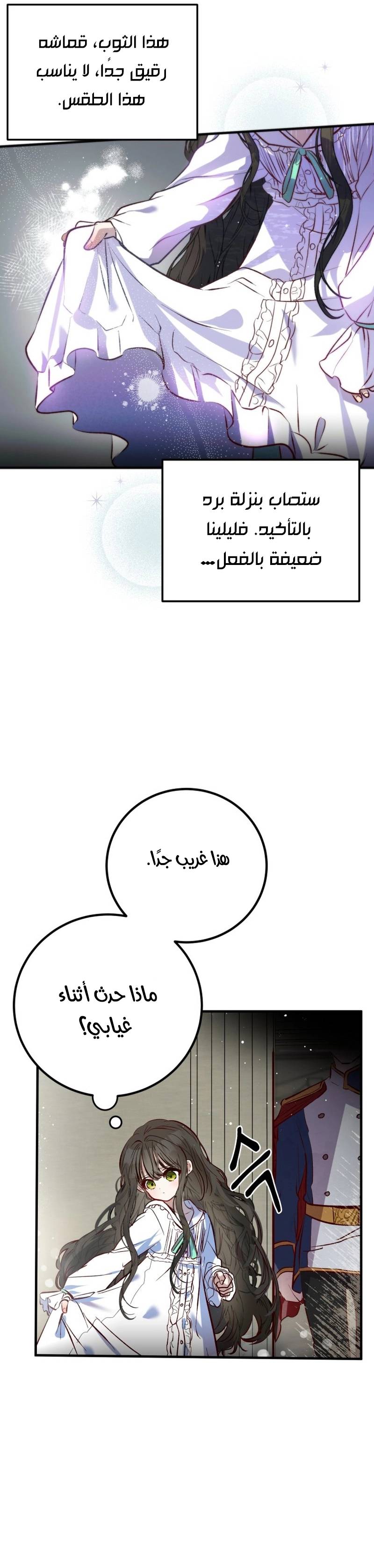 الصفحة 13