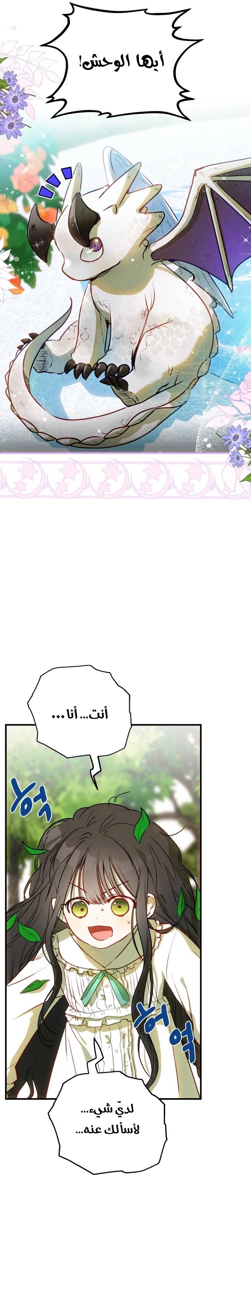 الصفحة 24