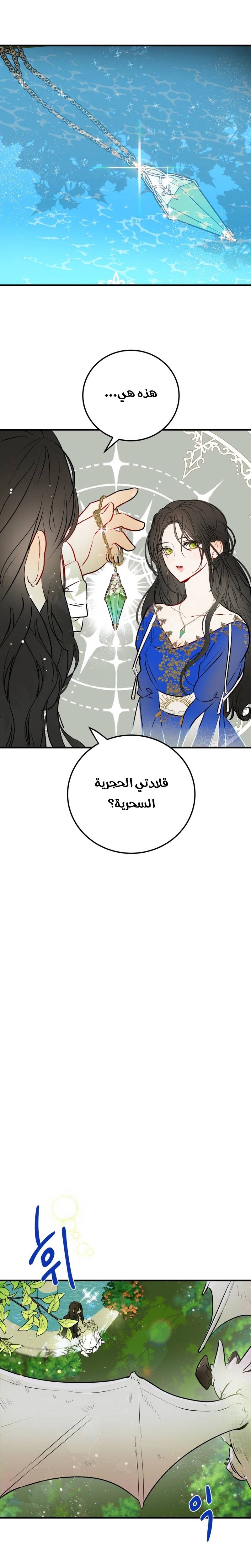 الصفحة 27