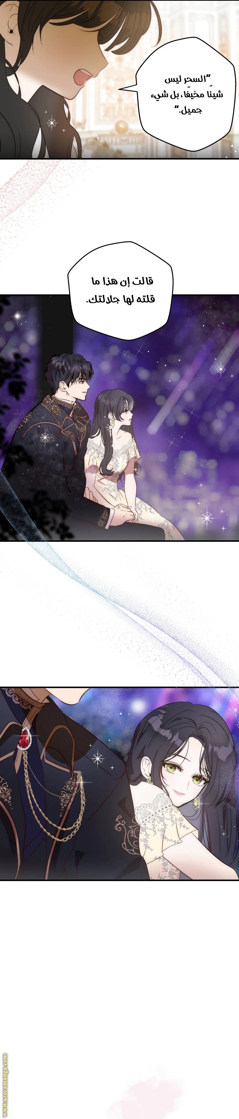 الصفحة 13