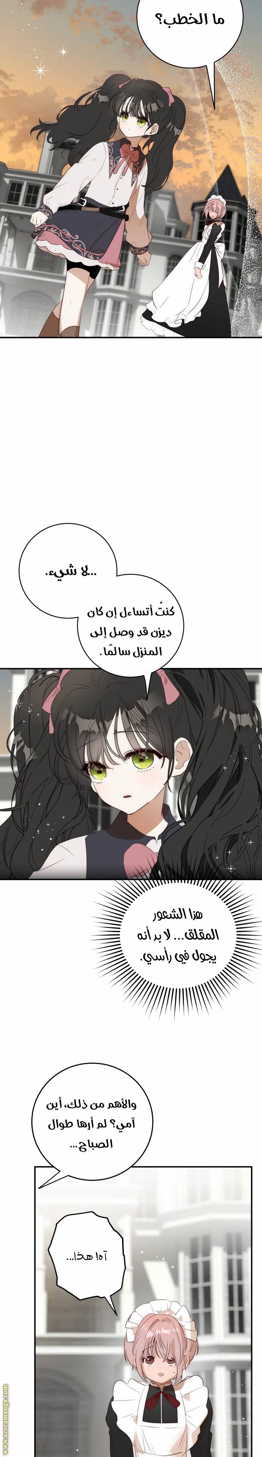الصفحة 13