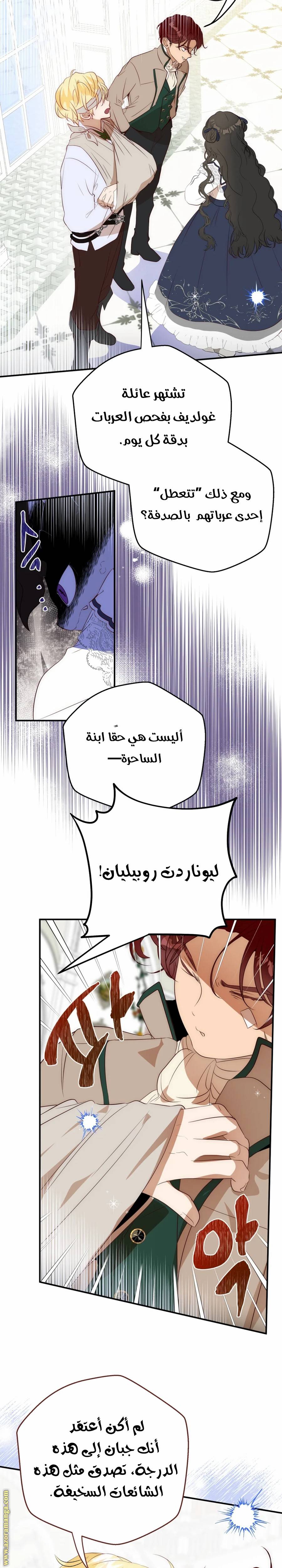 الصفحة 25