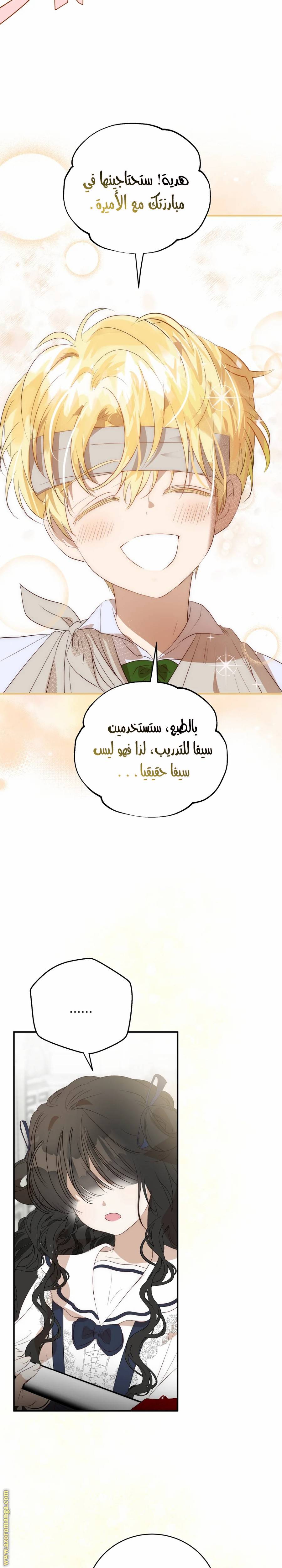 الصفحة 29