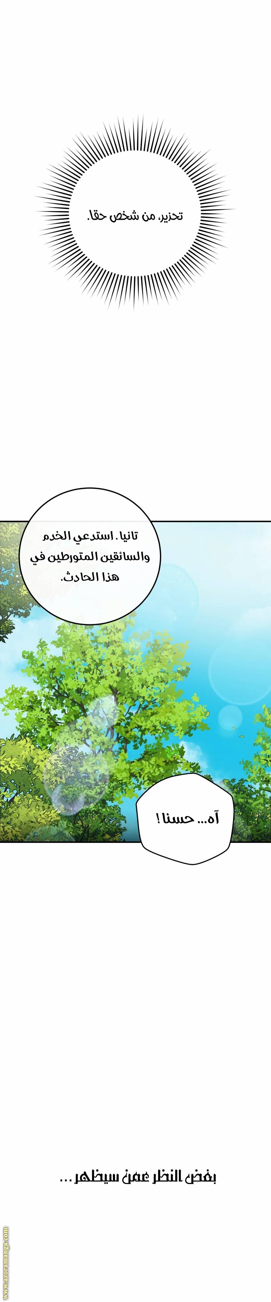 الصفحة 32