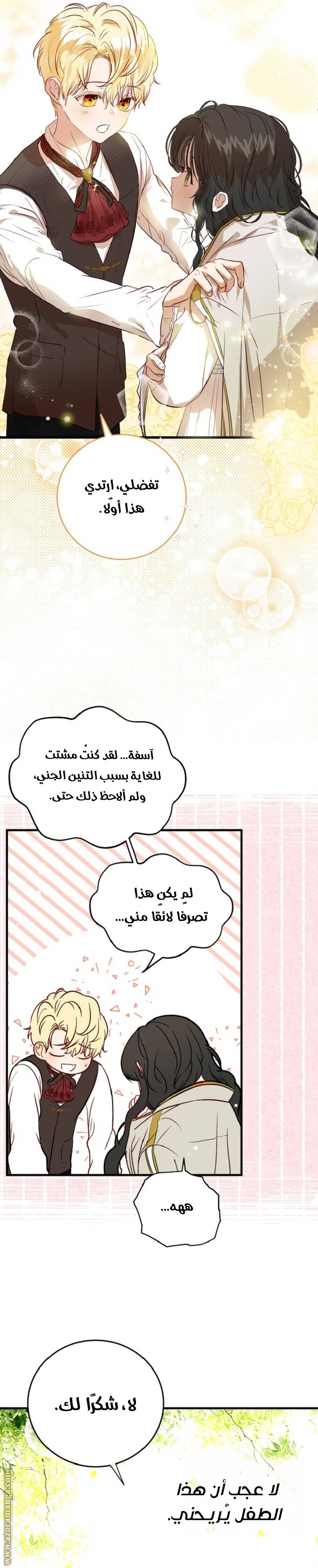 الصفحة 11