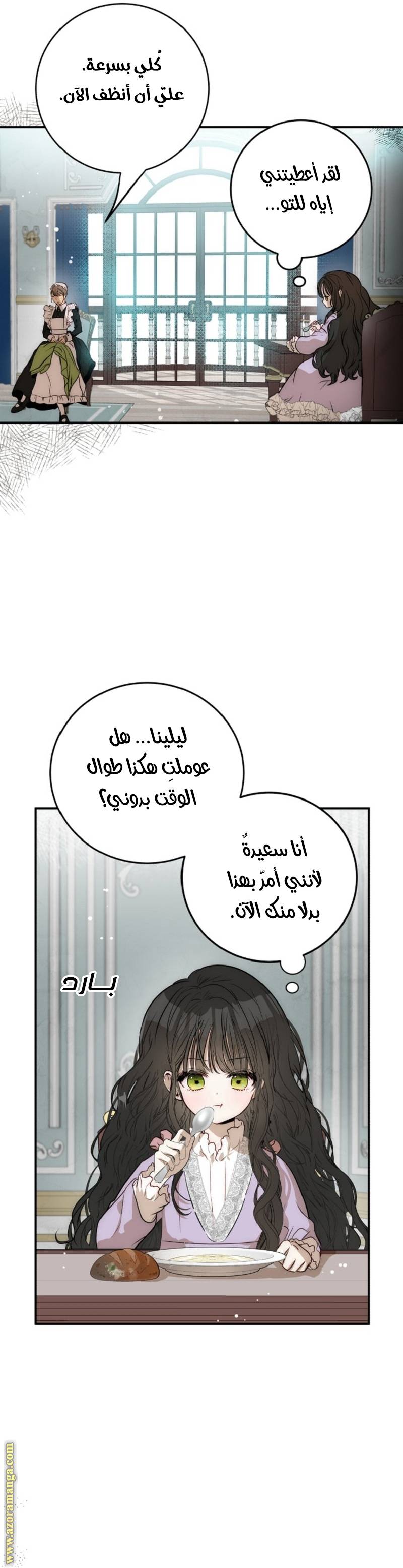 الصفحة 17