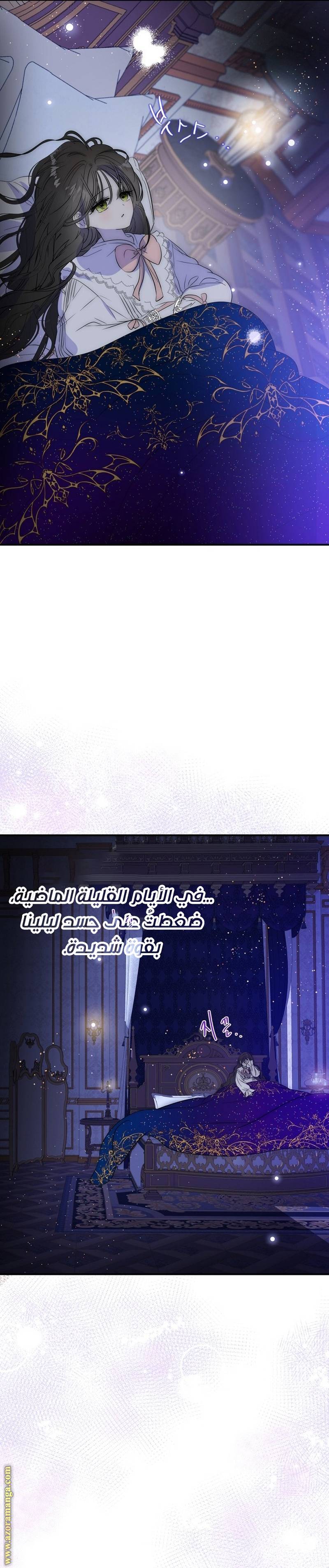 الصفحة 17