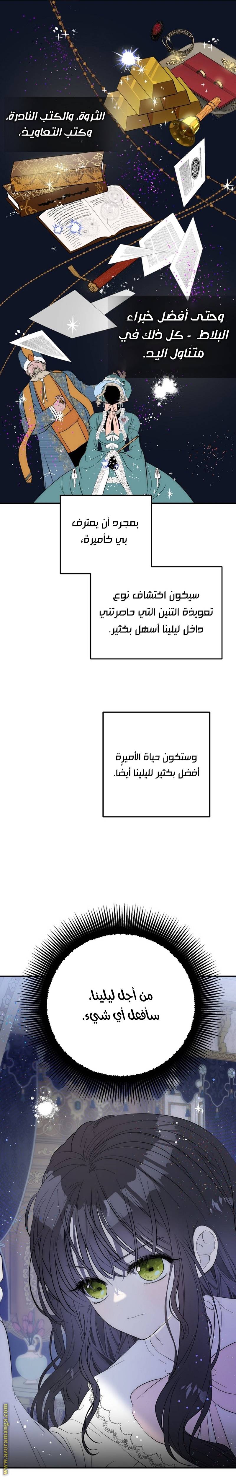 الصفحة 21