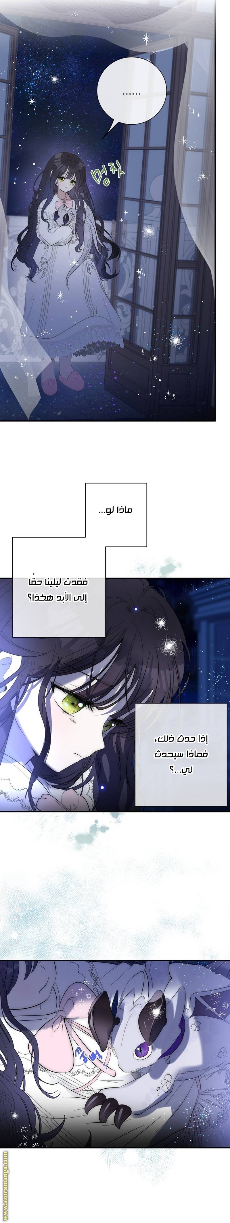 الصفحة 24