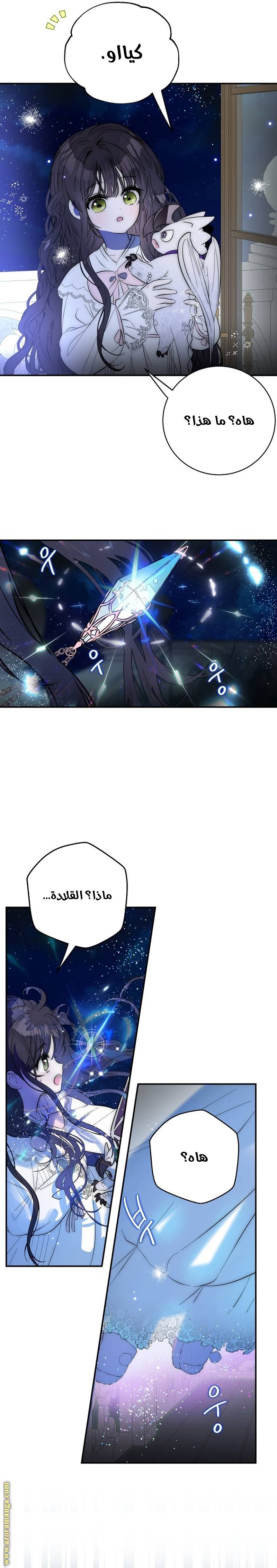 الصفحة 25