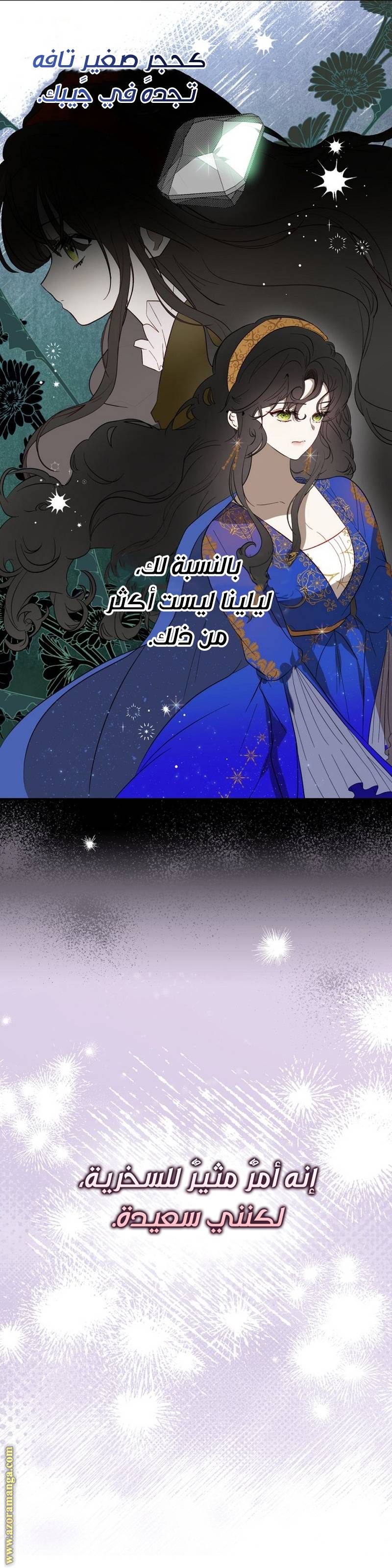 الصفحة 13