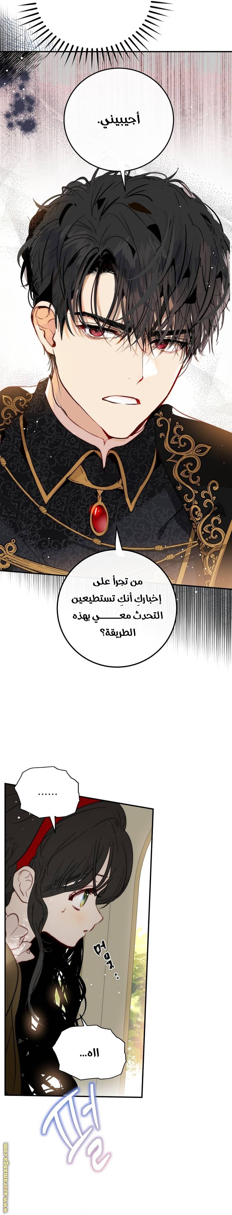الصفحة 17