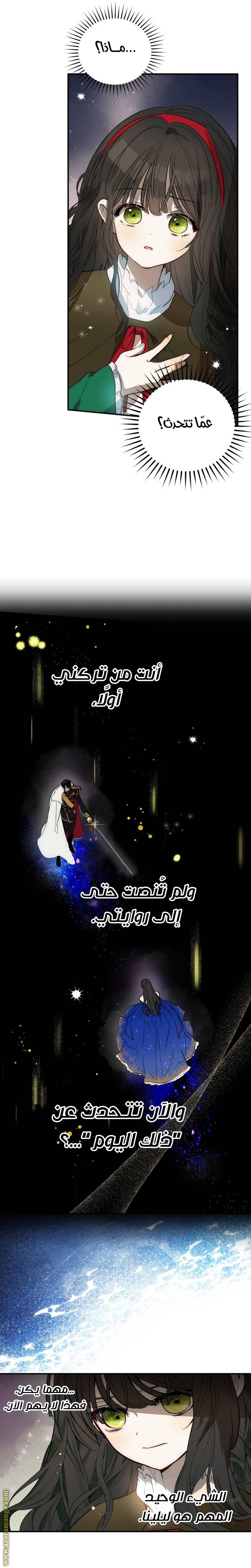 الصفحة 25