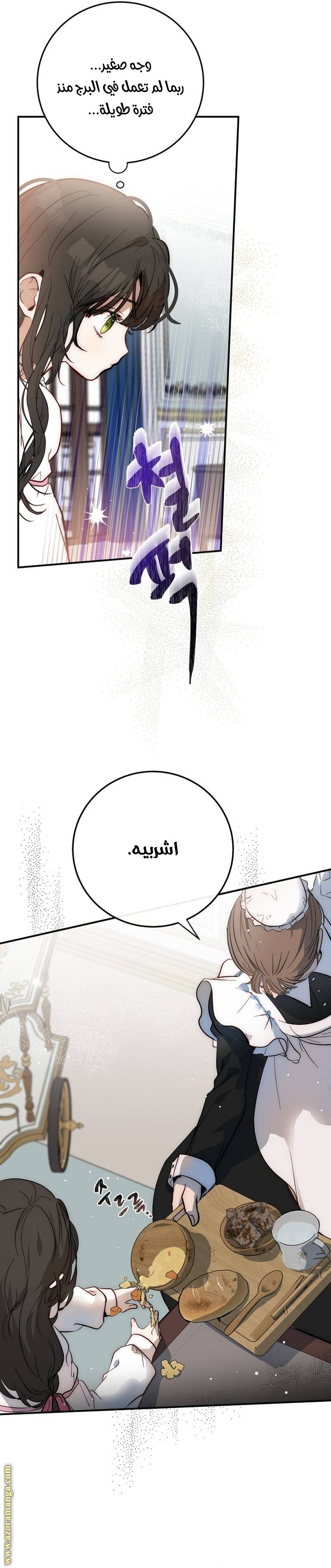 الصفحة 29