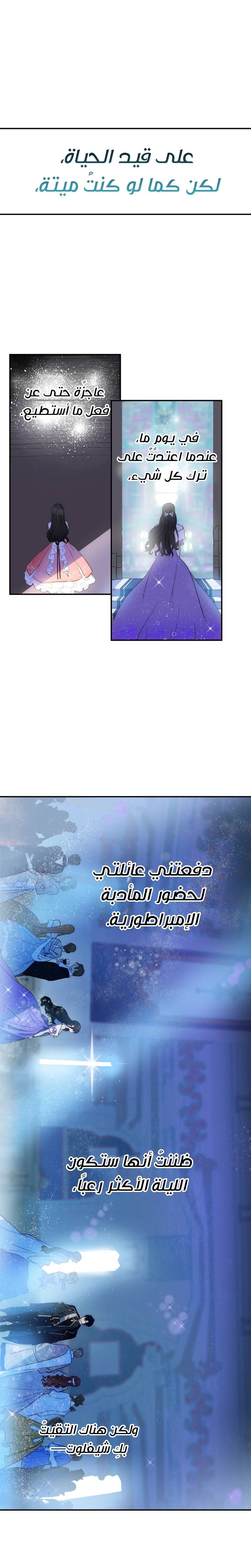 الصفحة 16