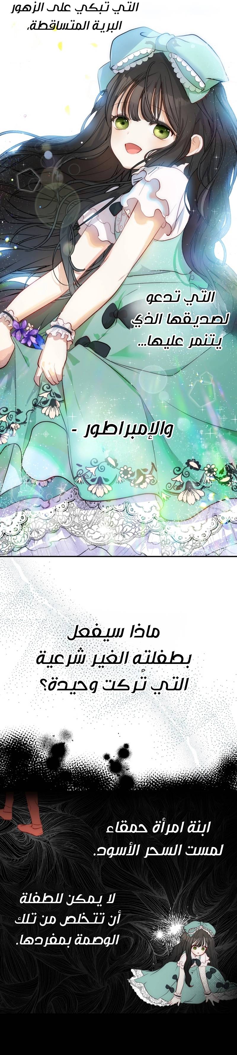 الصفحة 26