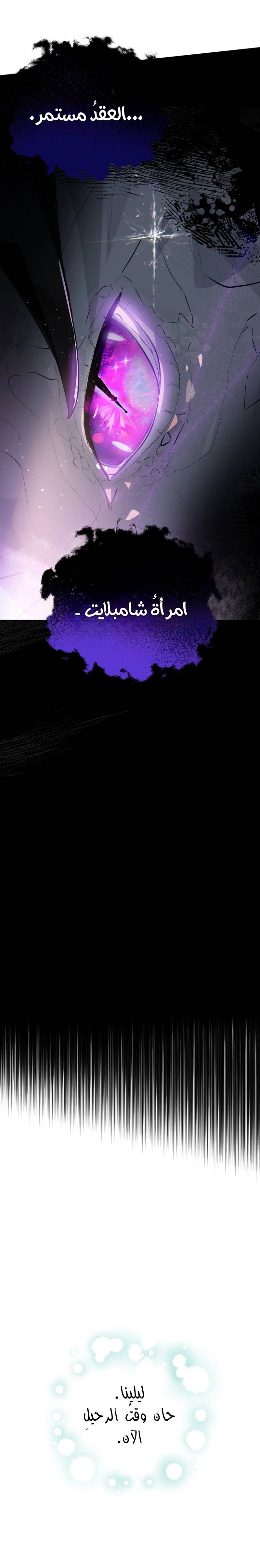 الصفحة 31