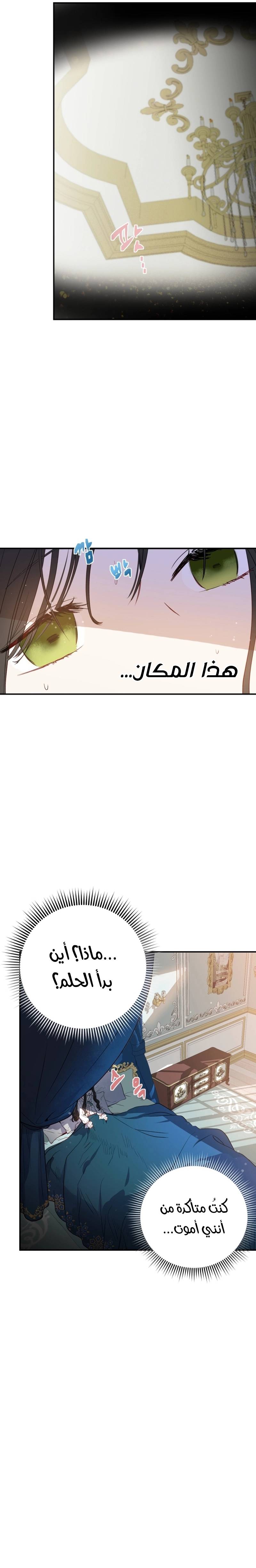 الصفحة 34