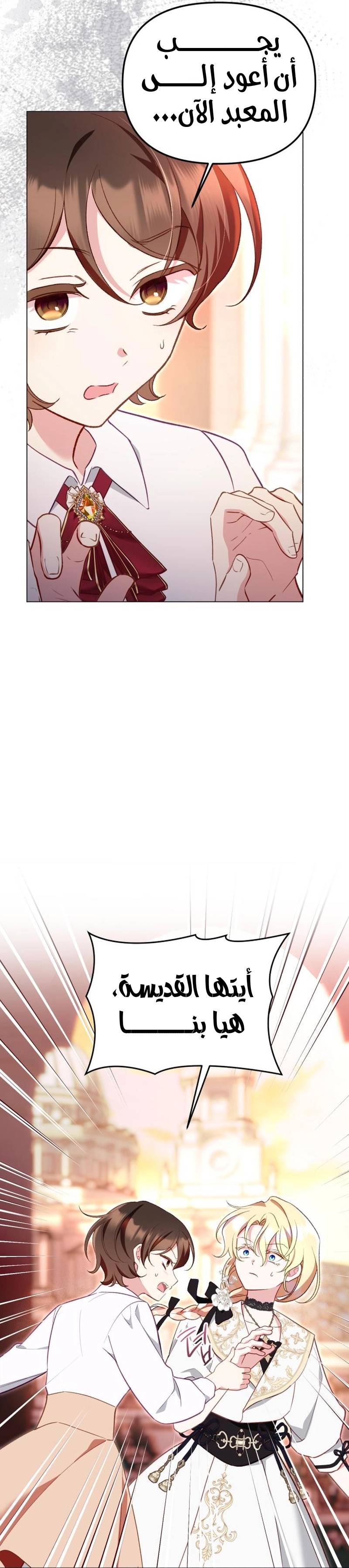 الصفحة 11