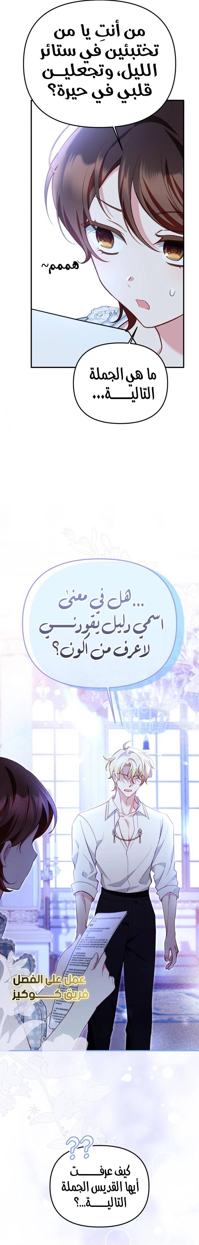 الصفحة 17